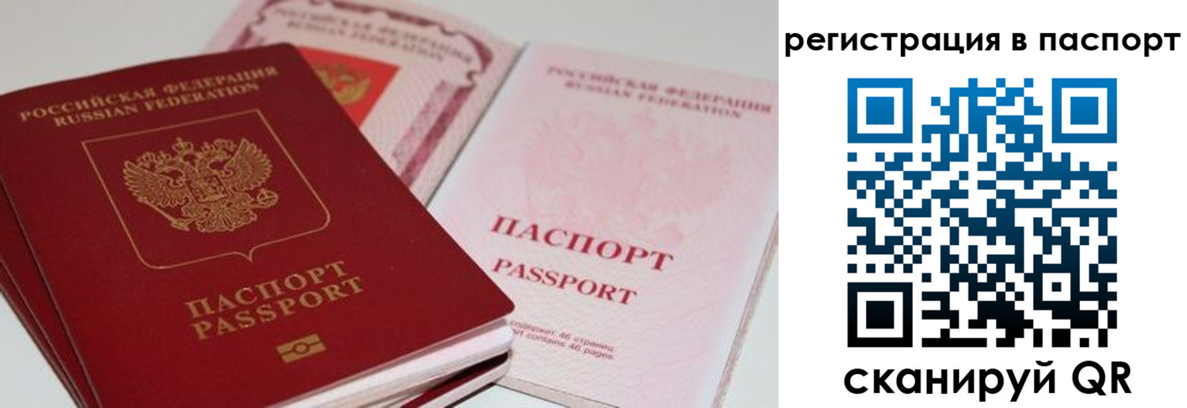 найти адрес прописки в Ногинске